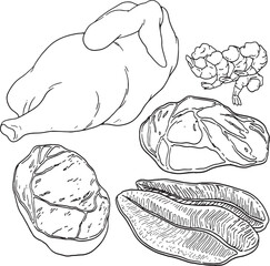 A detailed line art illustration featuring a variety of raw meats, including a whole chicken, beef cuts, fish fillets, and shrimp, perfect for food-related designs, recipes, or grocery store themes.