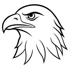 Fototapeta premium Eagle Head
