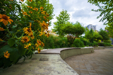 Vibrant urban park scene with bright yellow flowers, green foliage, curved bench, and paved walkway...