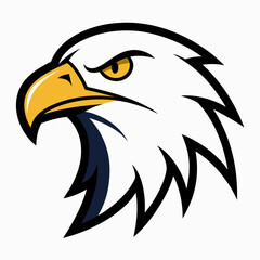 Fototapeta premium Eagle Head