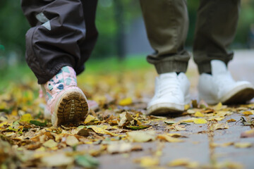 Feet sneakers walking on fall leaves Outdoor with Autumn season nature on background Lifestyle...