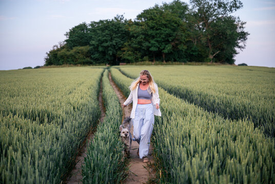 woman with her dog walking along path in green wheat field in summer