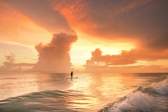 Profile teenage girl paddle board golden sunset Gulf of Mexico