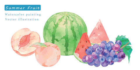水彩で描いた夏のフルーツベクターイラスト
