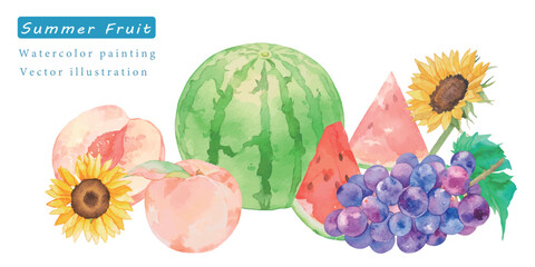 水彩で描いた夏のフルーツベクターイラスト