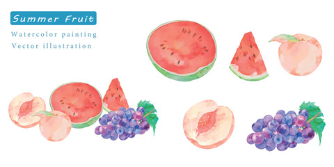 水彩で描いた夏のフルーツベクターイラスト