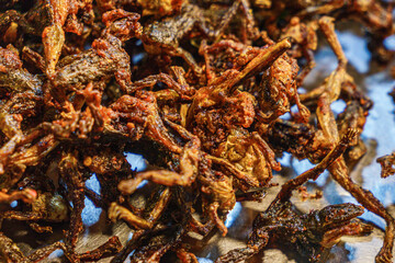 Detailed shot of crispy Thai-style fried lizard pieces, emphasizing rough texture, caramelized edges, and visual appeal for gourmet, cultural, or educational food narratives.