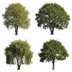 Collection of silhouetted bushes and shrubs in various shapes and sizes