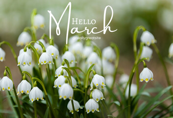 Green and  white Spring Flowers background - 5
