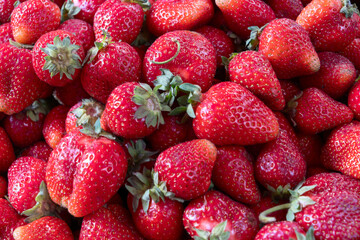 Fresh Strawberries at the Market. A Colorful Display of Ripe Strawberries Inviting You to Taste the Sweetness of Summer. The Joy of Harvesting Fresh Strawberries from Local Farms.