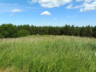 Salduve hill during sunny day. Small hill. Grass is growing on hill. Staircase leading to the top....