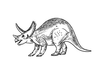 Hand drawn dinosaur triceratops illustration. Vector sketch isolated prehistoric animal on white background