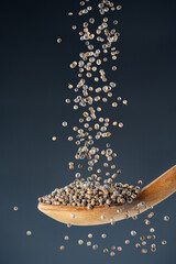 Dried coriander berries fall from above onto a wooden spoon, ideal for seasoning, recipe...