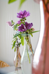 An Alcea rosea (hollyhock) in a glass vase on a table. Decorative photo with copy space.