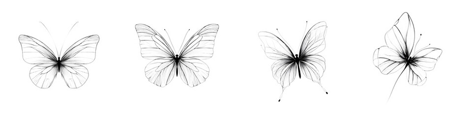 Monochrome Butterfly Art Set - Delicate Insect Illustrations