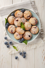 Vegetarian Blueberry Cookies sprinkled with powdered sugar closeup in the bowl on the table....