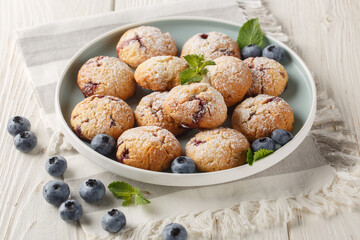 Gluten free blueberry cookies served with fresh blueberries closeup in the bowl on the table. Horizontal