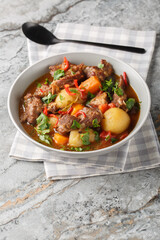 Beef stew Semur Daging with potatoes, carrot and a rich sweet-spiced soy sauce-based broth closeup...