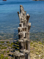 old wooden bridge