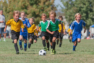 Energetic Youth Soccer Match Showcasing Teamwork and Community Spirit on a Sunny Day