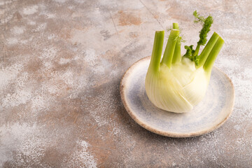 Fresh Fennel bulb on blue plate on brown concrete, side view, copy space