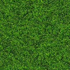 Soft Seamless Turf Grass Texture for Background Design Projects