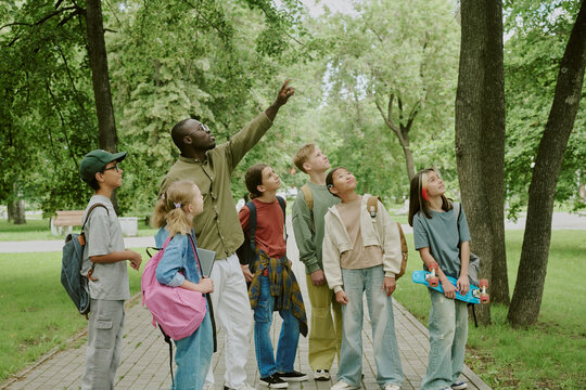 Group of multiethnic children standing outdoors with Black male teacher pointing at tree, kids looking up and listening attentively, backpacks and skateboard visible, park setting with greenery