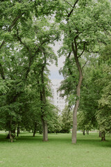 Empty green park with tall leafy trees and distant apartment building visible through branches, grassy open space in foreground, no people or objects present in scene