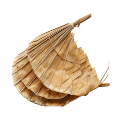 Aged, layered, dried palm leaf fan