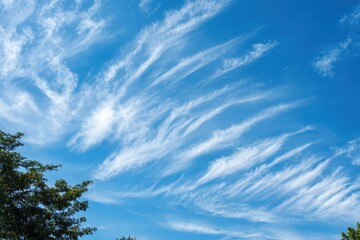 Obraz premium Lovely cirrus clouds in the azure sky cloud patterns in the blue sky with clouds