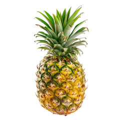 Vibrant pineapple, bright yellow-gold rind, sharp green leaves, tropical fruit