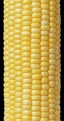 Close-up of a yellow corn cob