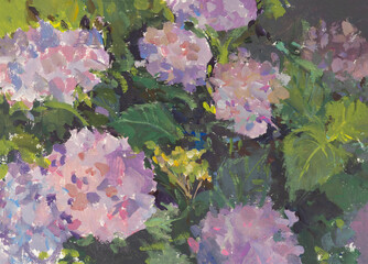Hydrangea gouache painting. A quick hand-drawn sketch. A delicate pastel illustration for the design. Growing ornamental flowers in the garden. The modern art of gouache painting. Purple flowers