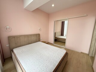 Contemporary Bedroom with Pink Walls and Mirror Closet