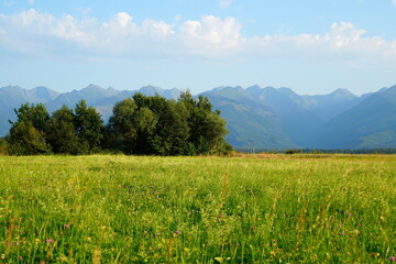 Beautiful landscape with Fagaras mountain range and meadow in Transylvania, Romania on summer sunny...