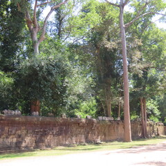 Ancient ruins in Angkor Wat, Cambodia