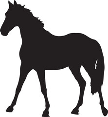 horse silhouette isolated on white