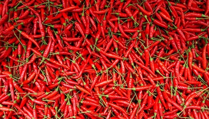 A vibrant collection of red chili peppers creating an intense and spicy background surface texture