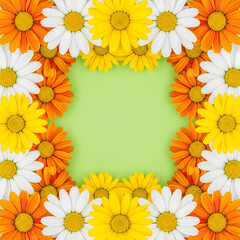 Obraz premium A lively arrangement of orange yellow and white daisies forming a colorful border around a green space
