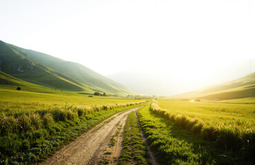 Fototapeta premium A scenic landscape featuring a dirt road winding through lush green fields with rolling hills in the background