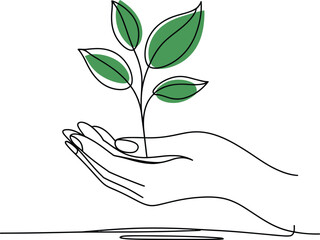 Hand holding a delicate green sprout with leaves in a continuous line drawing style