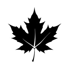 Naklejka premium Simple Black and White Maple Leaf Illustration, symbolic of Canada, nature