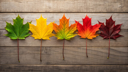 Autumn maple leaves color gradient on wood background