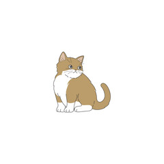 Vector illustrations of cat different breeds set, cute pet animals, lovely kitten on white background in flat style design.