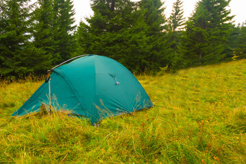 green touristic tent stay on fir forest glade, summer outdoor travel scene