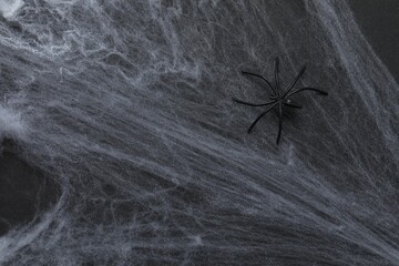 Halloween holiday decorations including cobweb and spider on black background, top view