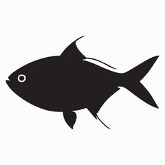 Stylized fish illustration with vibrant colors and clean lines