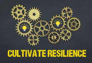 Cultivate resilience	
