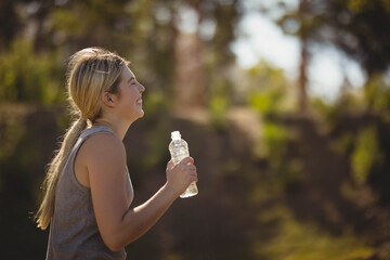 Water bottle resting on sunlit forest trail with green trees filtering soft sunlight