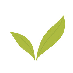 Green tea isolated vector. Green tea doodle vector. Matcha.